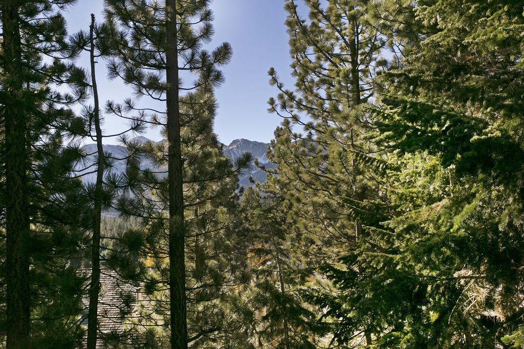 Mammoth Village Properties By 101 Great Escapes Mammoth Lakes Bilik gambar
